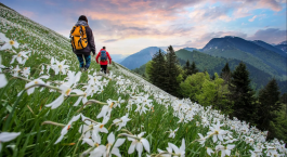 Szakmai tanulmányutak